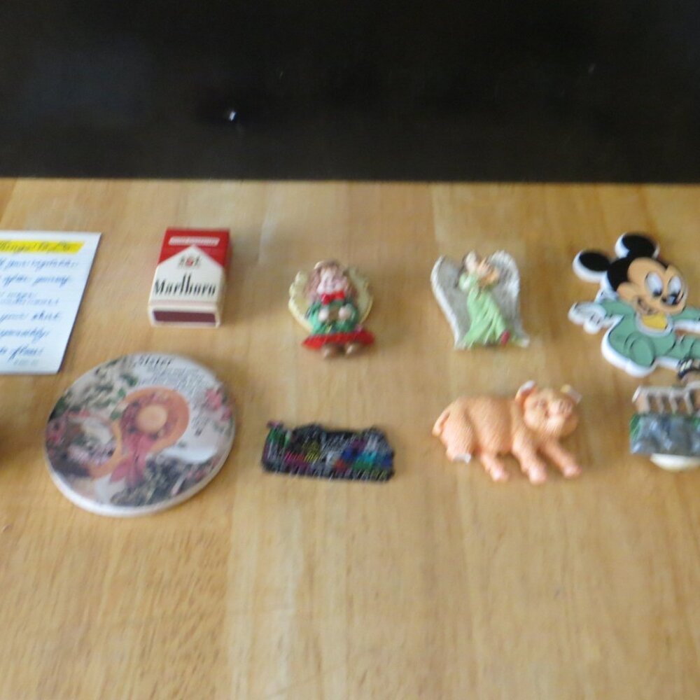 Set of 10 Fun Miscellaneous Refrigerator Magnets